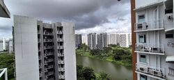Blk 356B Anchorvale Plains (Sengkang), HDB 5 Rooms #518017871